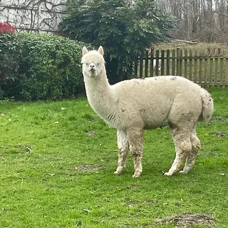 Au Coeur De La Nature