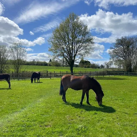 Au Coeur De La Nature * Le Grand-Luce