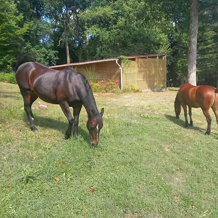 Au Coeur De La Nature * Le Grand-Luce