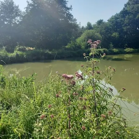 Au Coeur De La Nature 营地