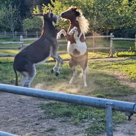 Au Coeur De La Nature Le Grand-Luce
