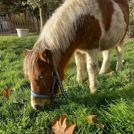 Au Coeur De La Nature