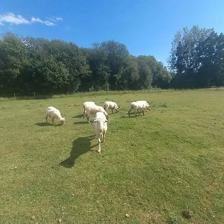 Campsite Au Coeur De La Nature Le Grand-Luce