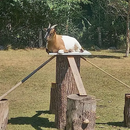 Au Coeur De La Nature Campsite Le Grand-Luce