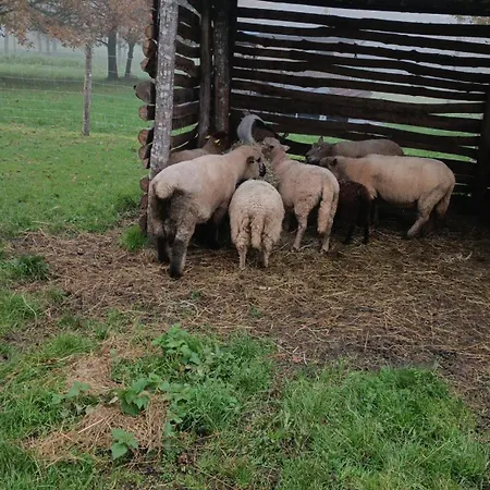Au Coeur De La Nature