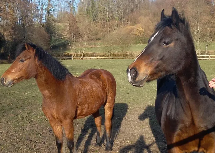 Au Coeur De La Nature 캠프장 Le Grand-Lucé