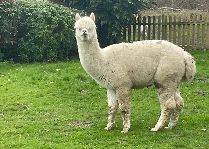 Au Coeur De La Nature