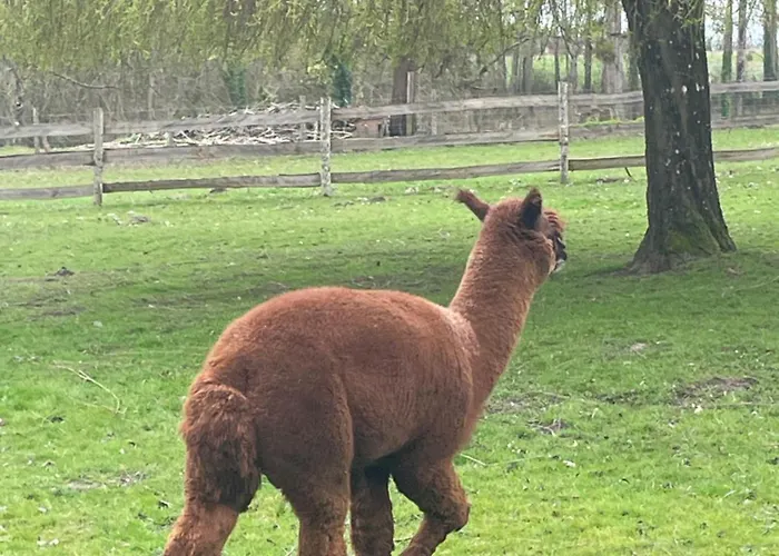 Au Coeur De La Nature Le Grand-Lucé