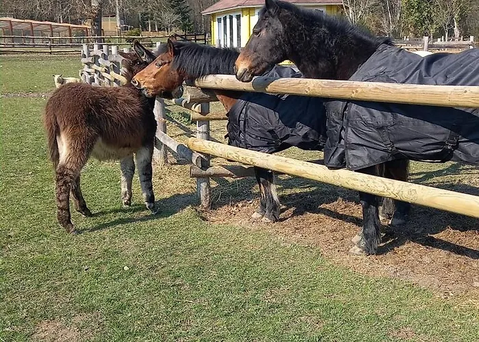 Au Coeur De La Nature 캠프장 *