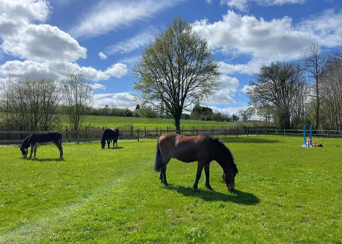 Au Coeur De La Nature * Le Grand-Lucé