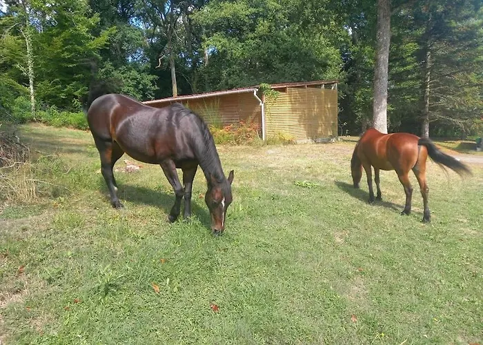 Au Coeur De La Nature * Le Grand-Lucé