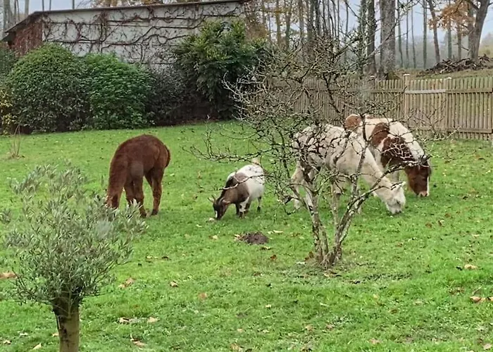 캠프장 Au Coeur De La Nature Le Grand-Lucé