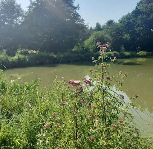 Au Coeur De La Nature 캠프장