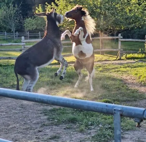 Au Coeur De La Nature Le Grand-Lucé