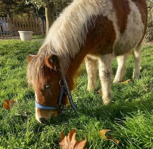 Au Coeur De La Nature
