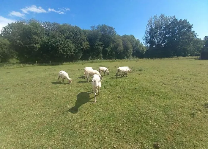 캠프장 Au Coeur De La Nature Le Grand-Lucé