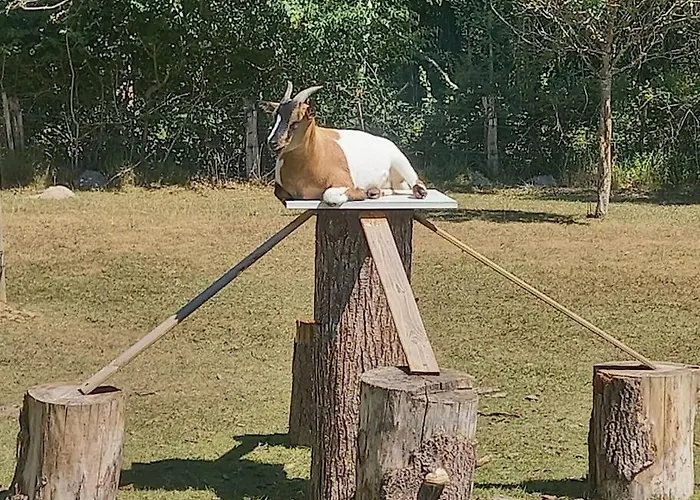 Au Coeur De La Nature 캠프장 Le Grand-Lucé