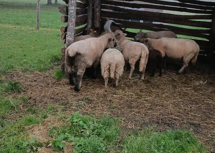 Au Coeur De La Nature